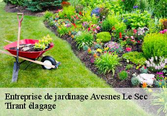 Entreprise de jardinage  avesnes-le-sec-59296 Tirant élagage