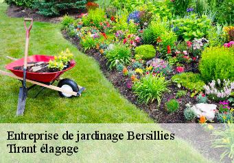 Entreprise de jardinage  bersillies-59600 Tirant élagage
