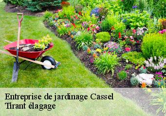 Entreprise de jardinage  cassel-59670 Tirant élagage