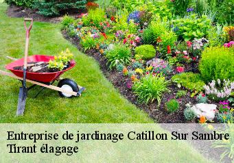 Entreprise de jardinage  catillon-sur-sambre-59360 Tirant élagage
