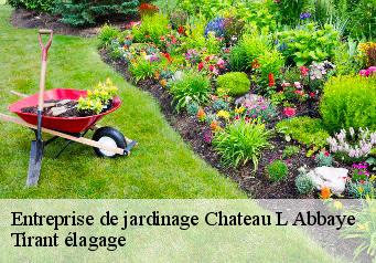 Entreprise de jardinage  chateau-l-abbaye-59230 Tirant élagage