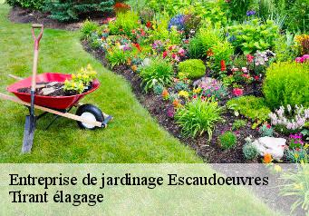 Entreprise de jardinage  escaudoeuvres-59161 Tirant élagage