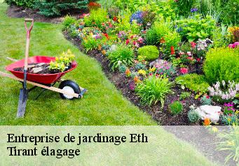 Entreprise de jardinage  eth-59144 Tirant élagage