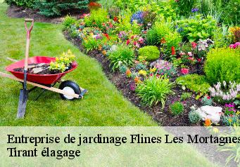 Entreprise de jardinage  flines-les-mortagnes-59158 Tirant élagage