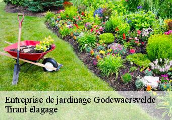Entreprise de jardinage  godewaersvelde-59270 Tirant élagage