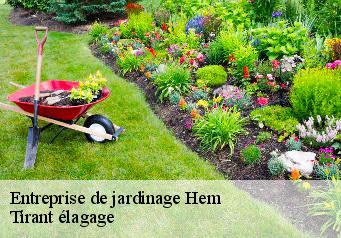 Entreprise de jardinage  hem-59510 Tirant élagage