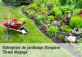 Entreprise de jardinage  hergnies-59199 Tirant élagage