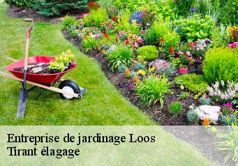 Entreprise de jardinage  loos-59120 Tirant élagage