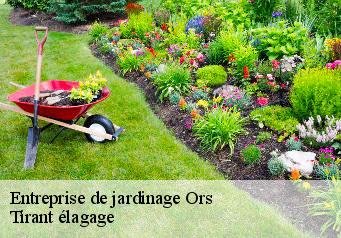 Entreprise de jardinage  ors-59360 Tirant élagage