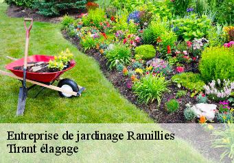 Entreprise de jardinage  ramillies-59161 Tirant élagage