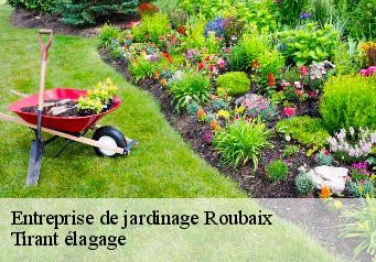 Entreprise de jardinage  roubaix-59100 Tirant élagage