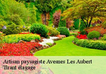 Artisan paysagiste  avesnes-les-aubert-59129 Tirant élagage