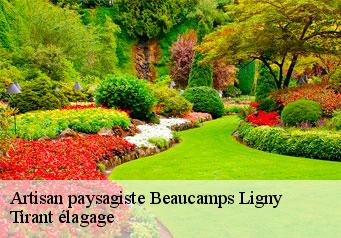 Artisan paysagiste  beaucamps-ligny-59134 Tirant élagage