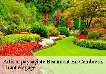 Artisan paysagiste  beaumont-en-cambresis-59540 Tirant élagage