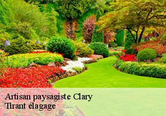 Artisan paysagiste  clary-59225 Tirant élagage