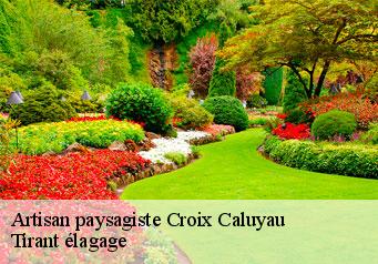 Artisan paysagiste  croix-caluyau-59222 Tirant élagage