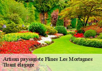 Artisan paysagiste  flines-les-mortagnes-59158 Tirant élagage