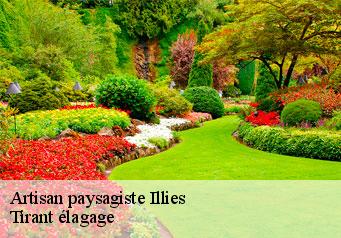 Artisan paysagiste  illies-59480 Tirant élagage