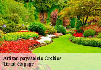 Artisan paysagiste  orchies-59310 Tirant élagage