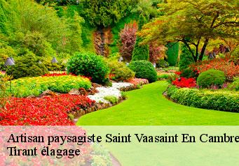 Artisan paysagiste  saint-vaasaint-en-cambresis-59188 Tirant élagage
