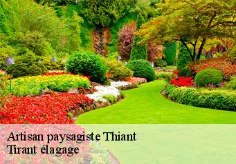 Artisan paysagiste  thiant-59224 Tirant élagage