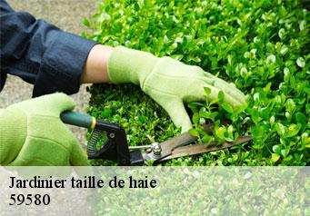 Jardinier taille de haie  59580