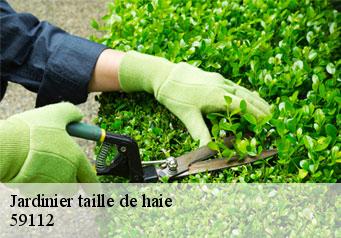 Jardinier taille de haie  59112