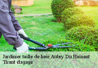 Jardinier taille de haie  aubry-du-hainaut-59494 Tirant élagage