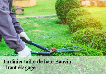 Jardinier taille de haie  bauvin-59221 Tirant élagage