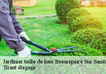 Jardinier taille de haie beaurepaire-sur-sambre-59550 Tirant élagage