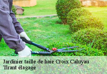 Jardinier taille de haie  croix-caluyau-59222 Tirant élagage