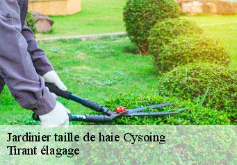 Jardinier taille de haie  cysoing-59830 Tirant élagage