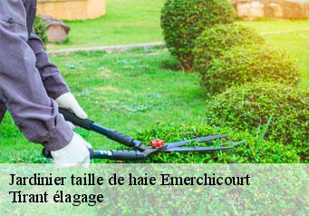 Jardinier taille de haie  emerchicourt-59580 Tirant élagage
