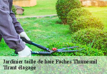 Jardinier taille de haie  faches-thumesnil-59155 Tirant élagage