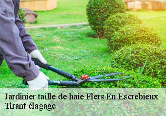 Jardinier taille de haie flers-en-escrebieux-59128 Tirant élagage