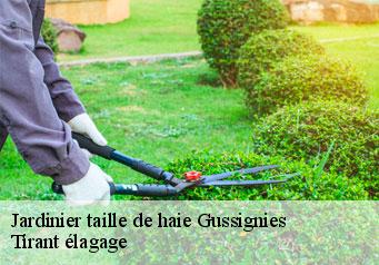 Jardinier taille de haie  gussignies-59570 Tirant élagage