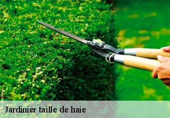 Jardinier taille de haie