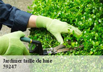 Jardinier taille de haie 59247