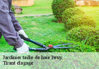 Jardinier taille de haie  iwuy-59141 Tirant élagage