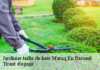 Jardinier taille de haie  marcq-en-baroeul-59700 Tirant élagage